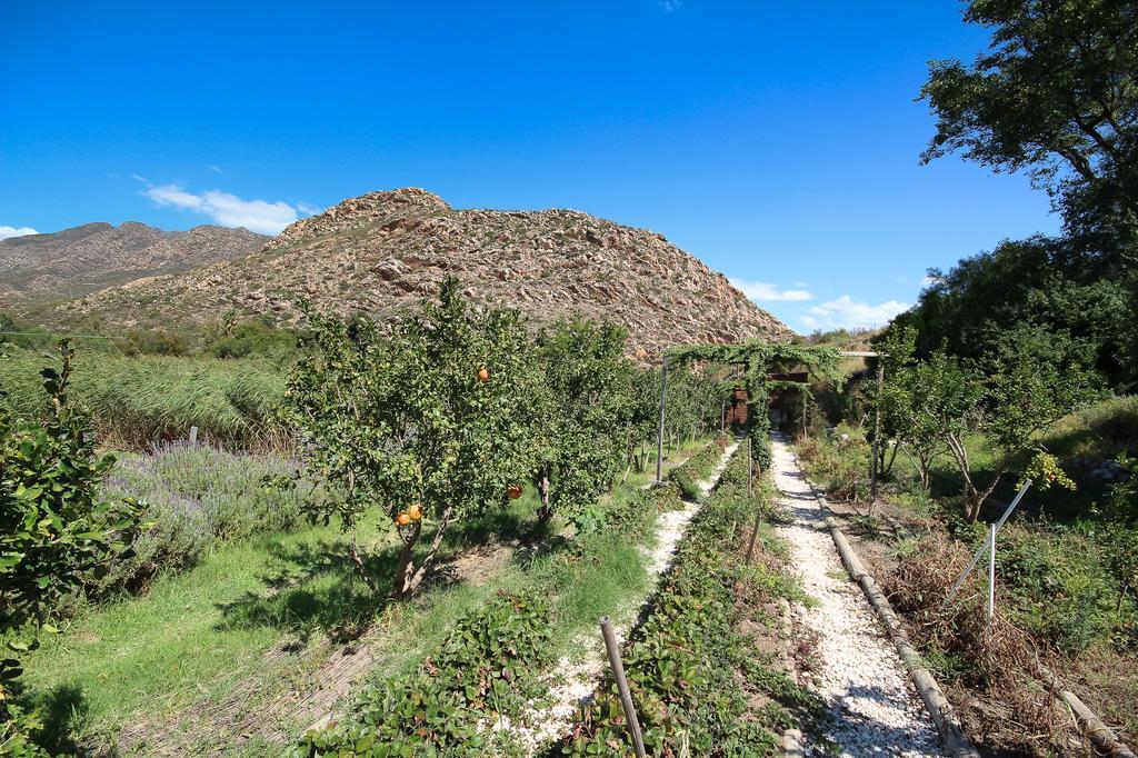 Kogman & Keisie Guest Farm Villa Montagu Bagian luar foto